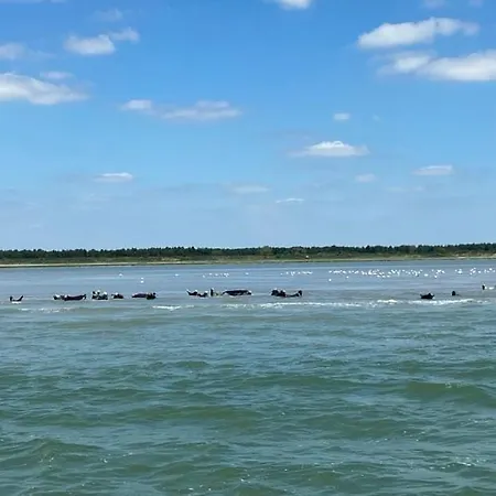 Les Volets Verts Le Crotoy