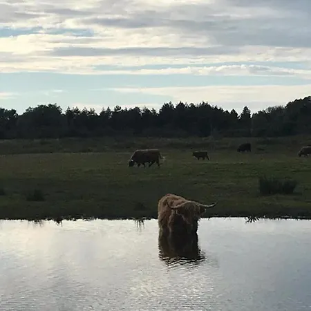 Les Volets Verts Prázdninový dům Le Crotoy